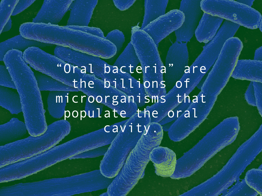 Dr Mark Reichman OFMS Oral Bacteria 